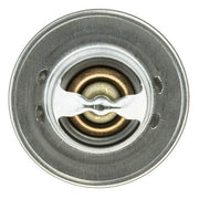 Engine Coolant Thermostat MotoRad 300-160
