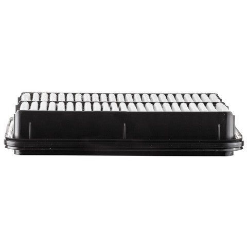 Engine Air Filter Premium Guard PA5589