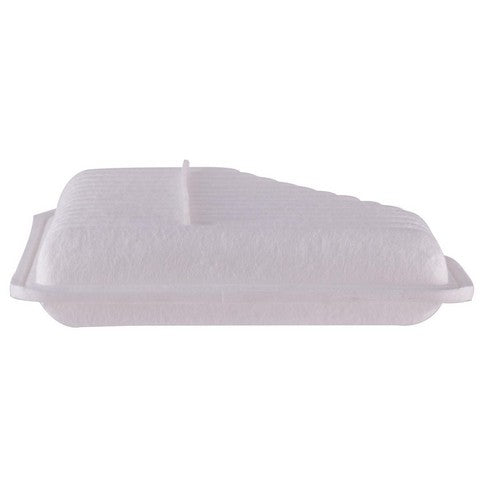 Engine Air Filter Premium Guard PA5650