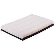 Engine Air Filter Premium Guard PA5716