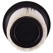Engine Air Filter Premium Guard PA6067