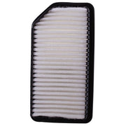 Engine Air Filter Premium Guard PA6094