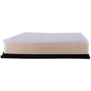 Engine Air Filter Premium Guard PA6146
