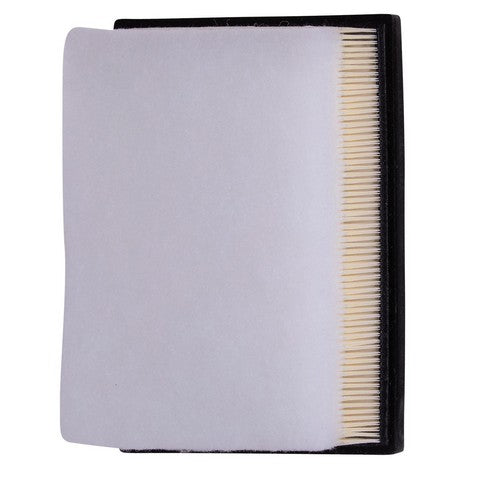 Engine Air Filter Premium Guard PA6272
