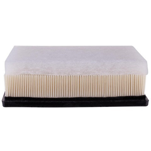 Engine Air Filter Premium Guard PA99002