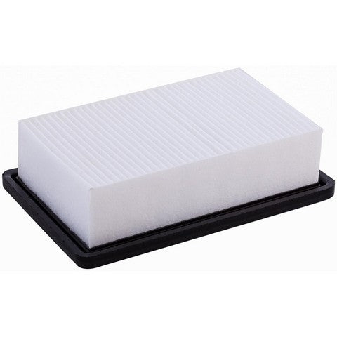 Engine Air Filter Premium Guard PA99224