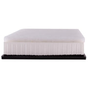 Engine Air Filter Premium Guard PA99239