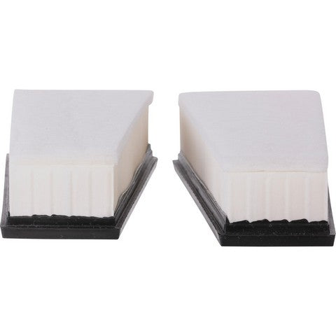 Engine Air Filter Premium Guard PA99418K