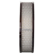 Engine Air Filter Premium Guard PA4