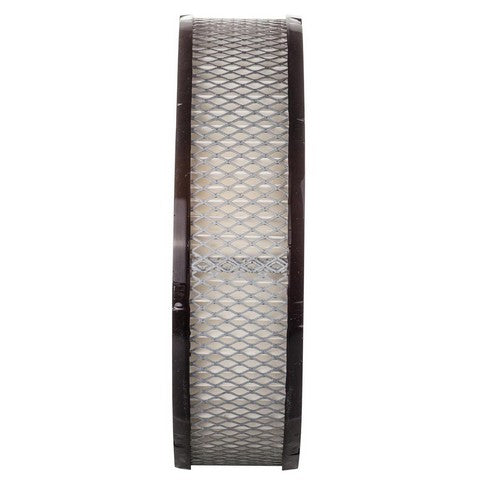 Engine Air Filter Premium Guard PA4