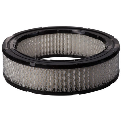 Engine Air Filter Premium Guard PA4