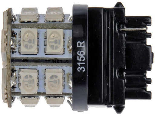 Back Up Light Bulb Dorman 3156R-SMD