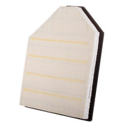 Engine Air Filter Premium Guard PA99005