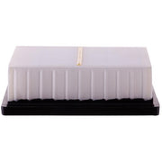 Air Filter Premium Guard PA99312