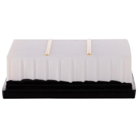 Engine Air Filter Premium Guard PA99480