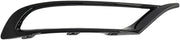 Fog Light Trim  CH1047139