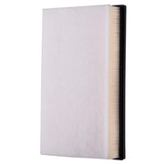 Air Filter Premium Guard PA99401
