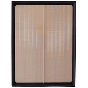 Engine Air Filter Premium Guard PA5823