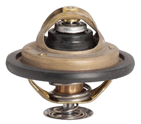 Engine Coolant Thermostat Gates 33971