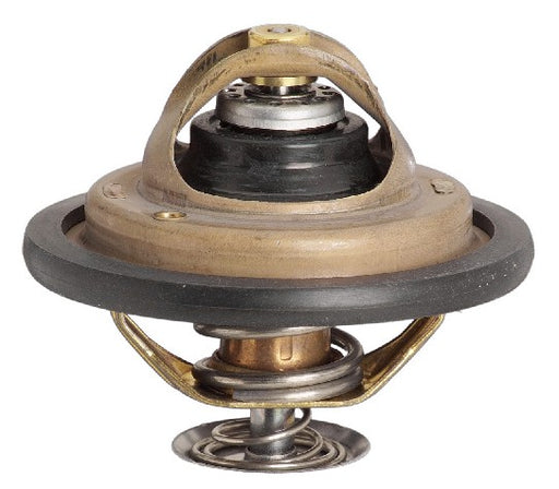 Engine Coolant Thermostat Gates 33971