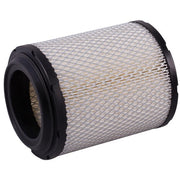 Engine Air Filter Premium Guard PA6168