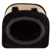 Engine Air Filter Premium Guard PA99220