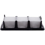 Engine Air Filter Premium Guard PA99294