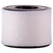 Engine Air Filter Premium Guard PA99507