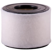Engine Air Filter Premium Guard PA99507