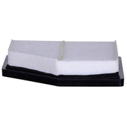 Engine Air Filter Premium Guard PA99575
