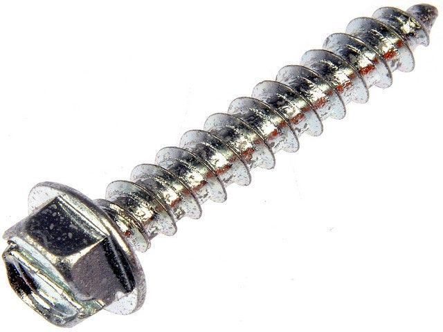 Screw Dorman-AutoGrade 365-214