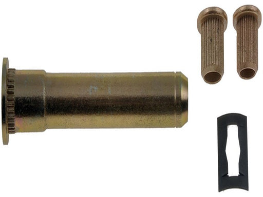 Door Hinge Pin & Bushing Kit Dorman-AutoGrade 703-265