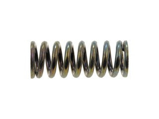 Door Hinge Spring Dorman-Help 38436