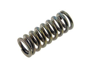 Door Hinge Spring Dorman-Help 38436