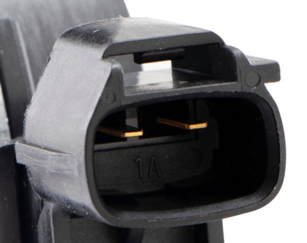 Window Motor ACI 389626