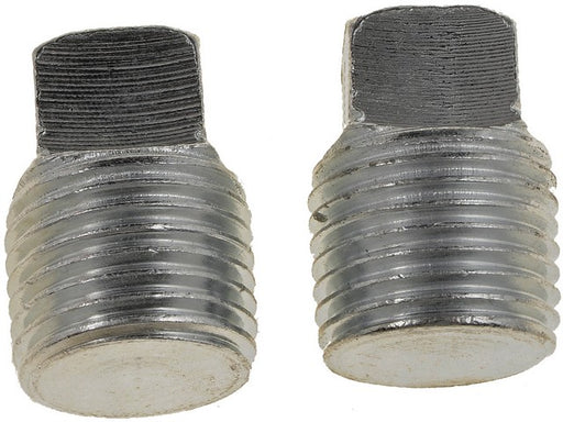 Pipe Plug Dorman-AutoGrade 090-002
