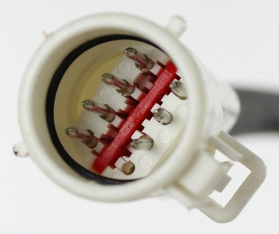 Fuel Pump Module Assembly Agility Autoparts 4010381