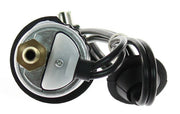 Electric Fuel Pump Agility Autoparts 4020231