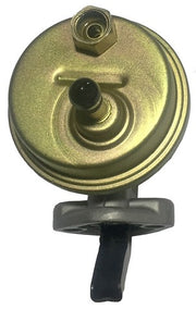 Mechanical Fuel Pump Agility Autoparts 4030261