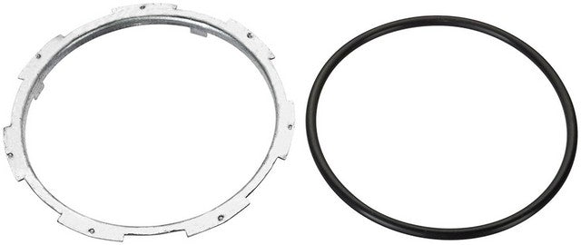 Fuel Tank Lock Ring Agility Autoparts 4060008