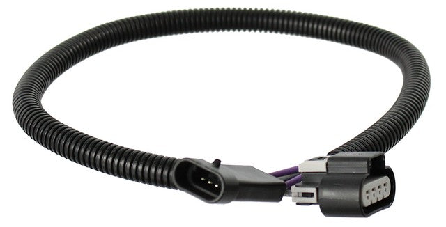 Fuel Pump Wiring Harness Agility Autoparts 4065033