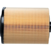 Engine Air Filter Premium Guard PA8220