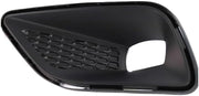 Fog Light Bezel  CH1038245