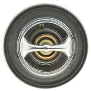 Engine Coolant Thermostat MotoRad 416-203