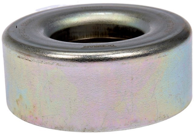 Accessory Drive Belt Idler Pulley Dorman-Techoice 419-693