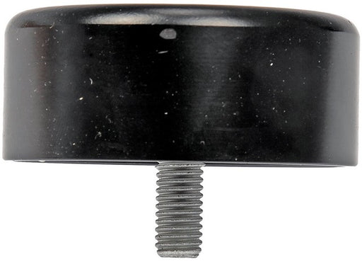 Accessory Drive Belt Idler Pulley Dorman-Techoice 419-699