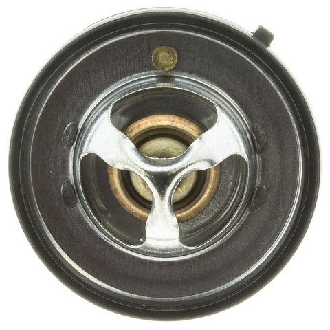 Engine Coolant Thermostat MotoRad 420-195