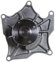 Engine Water Pump Gates 42022