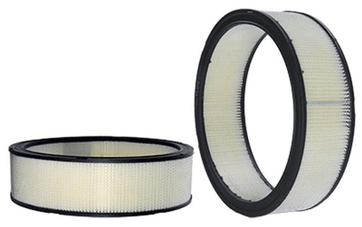 Engine Air Filter Wix Filters 42043