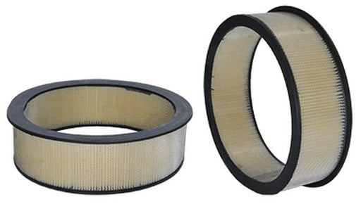 Engine Air Filter Wix Filters 42060